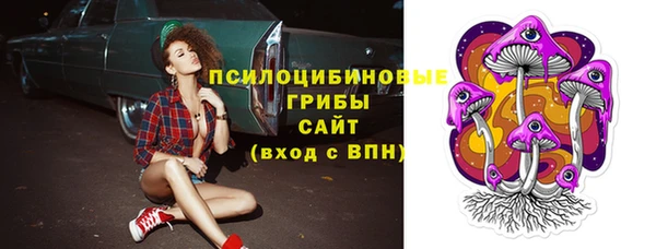 стаф Алексеевка