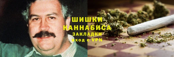 ГАЛЛЮЦИНОГЕННЫЕ ГРИБЫ Аркадак