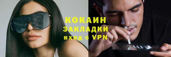 молекула духа Алзамай