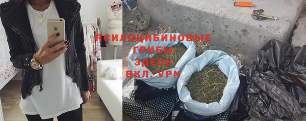 ГАЛЛЮЦИНОГЕННЫЕ ГРИБЫ Аркадак